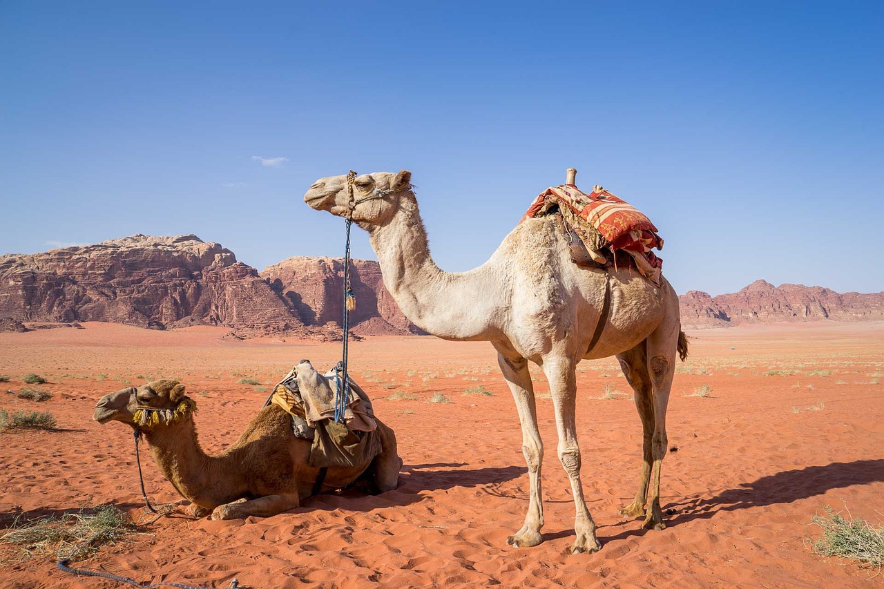 Exploration du Wadi Rum : À la Découverte du Désert de Mars au Cœur de la Jordanie